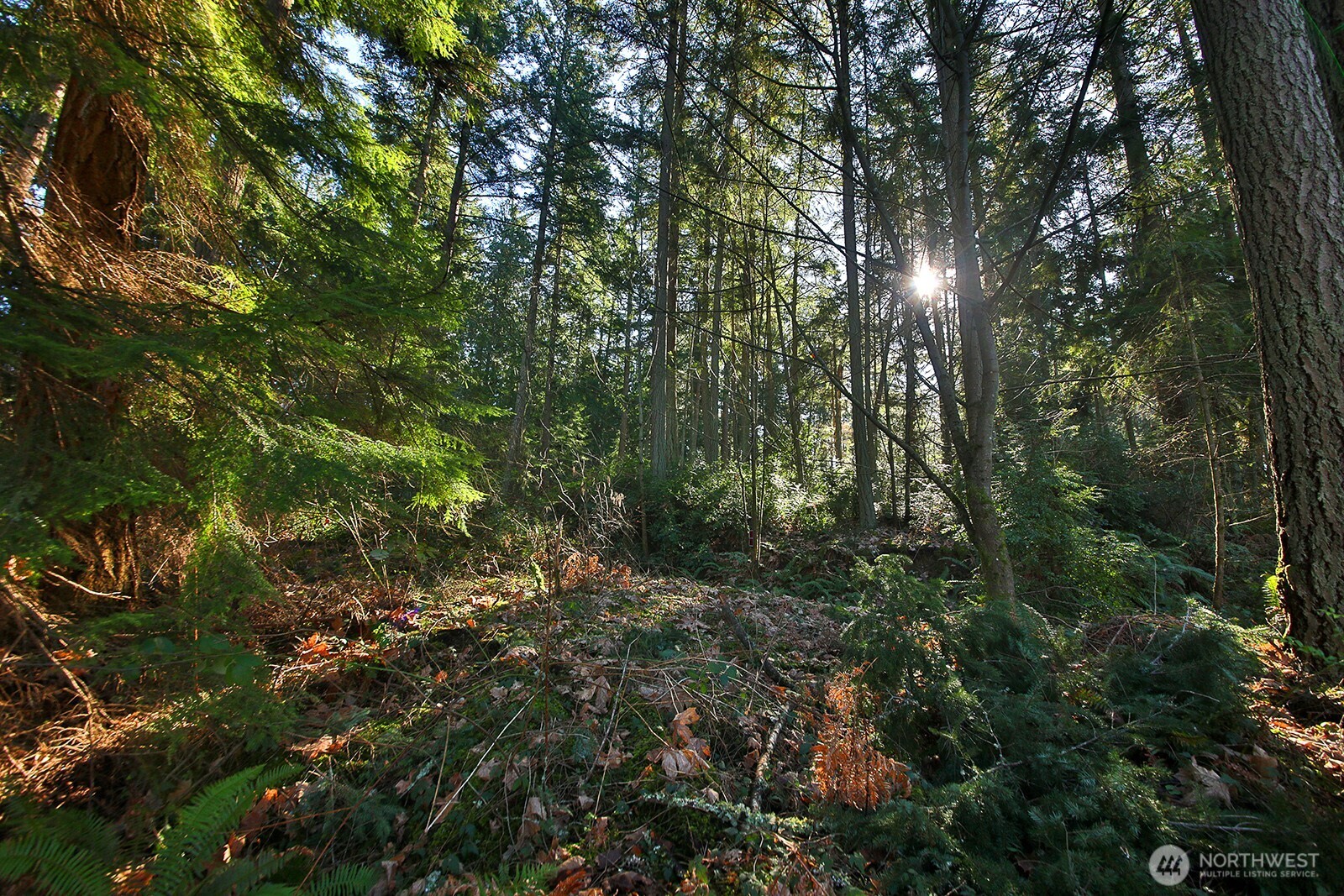 6880 Holst Road Property Photo 4