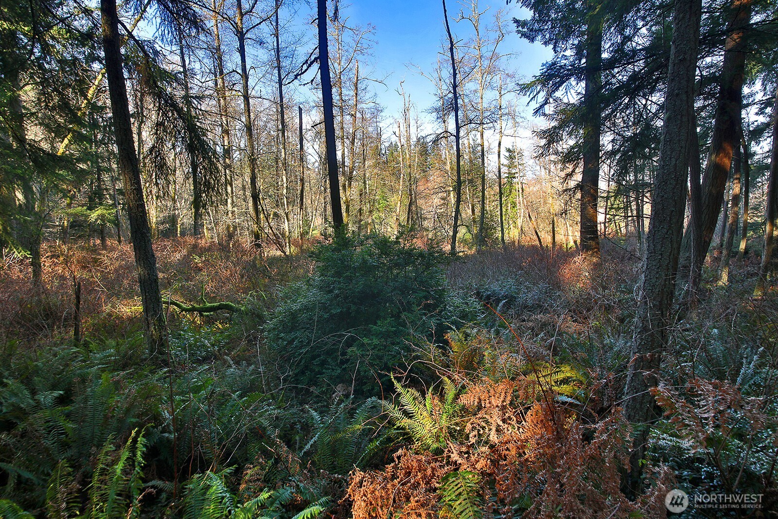 6880 Holst Road Property Photo 6