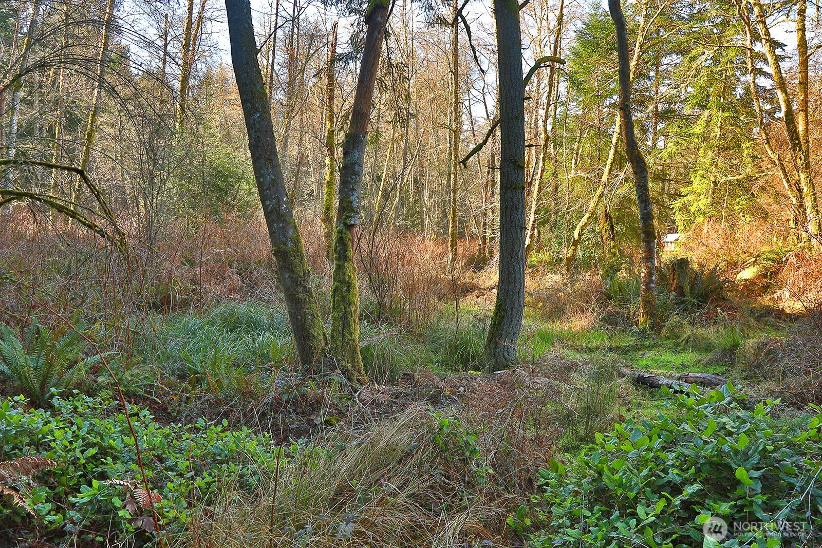 6880 Holst Road Property Photo 12