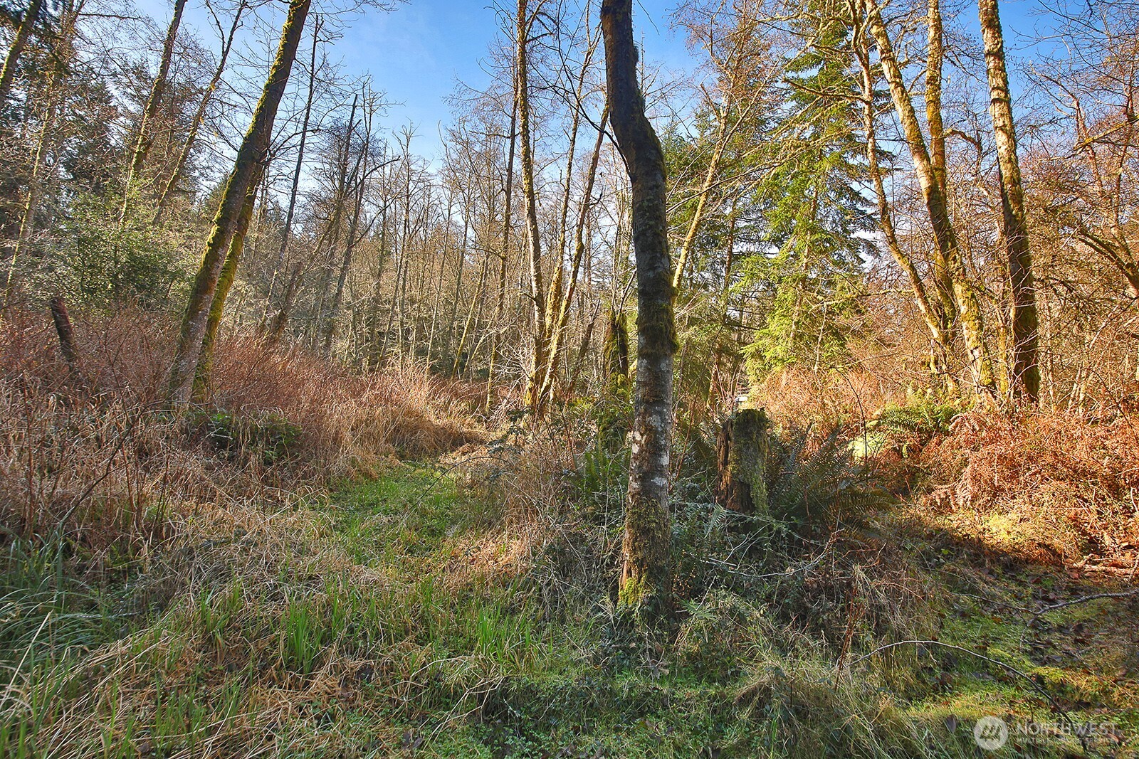 6880 Holst Road Property Photo 13