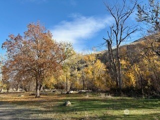 13761 Asotin Creek Road Property Photo 15