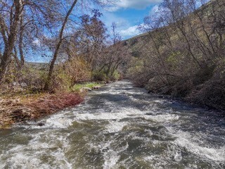 13761 Asotin Creek Road Property Photo 17