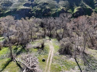 13761 Asotin Creek Road Property Photo 18