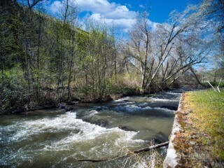 13761 Asotin Creek Road Property Photo 20