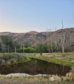 13761 Asotin Creek Road Property Photo 21