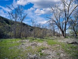 13761 Asotin Creek Road Property Photo 23
