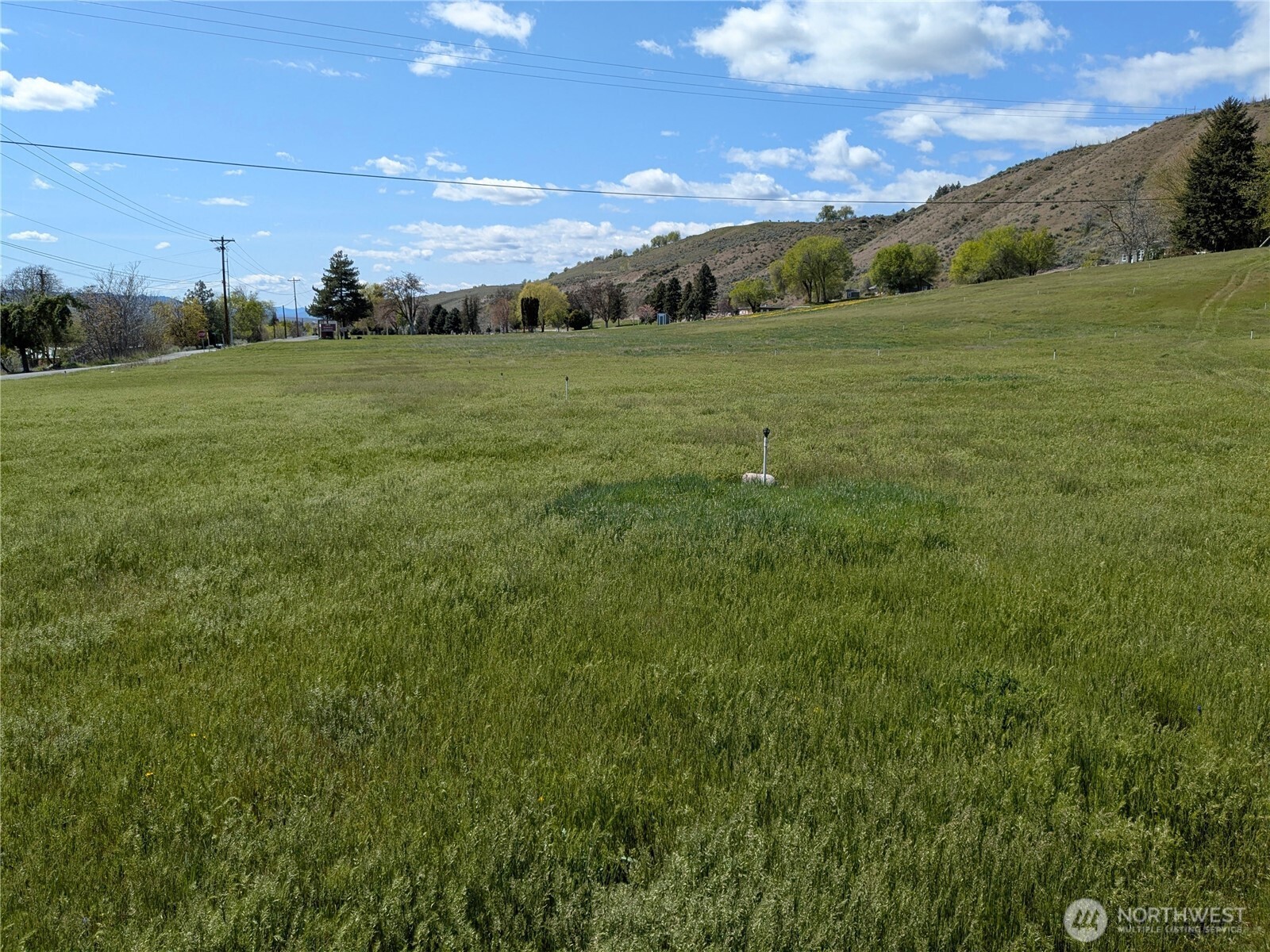 2549 N 4th Avenue Property Photo 29
