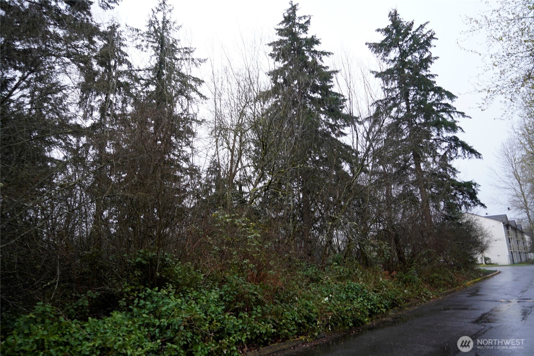 803 112th Street Property Photo 3