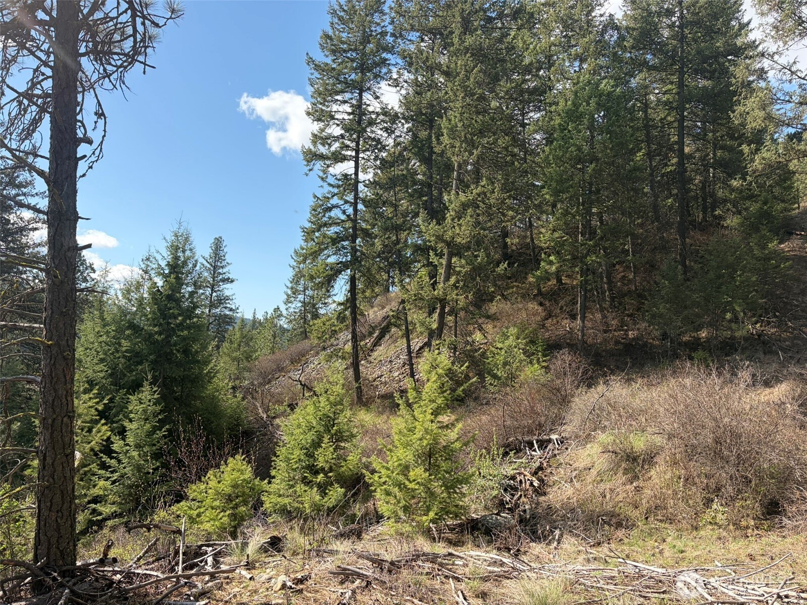 111 TBD West Curlew Lake Road Property Photo 1
