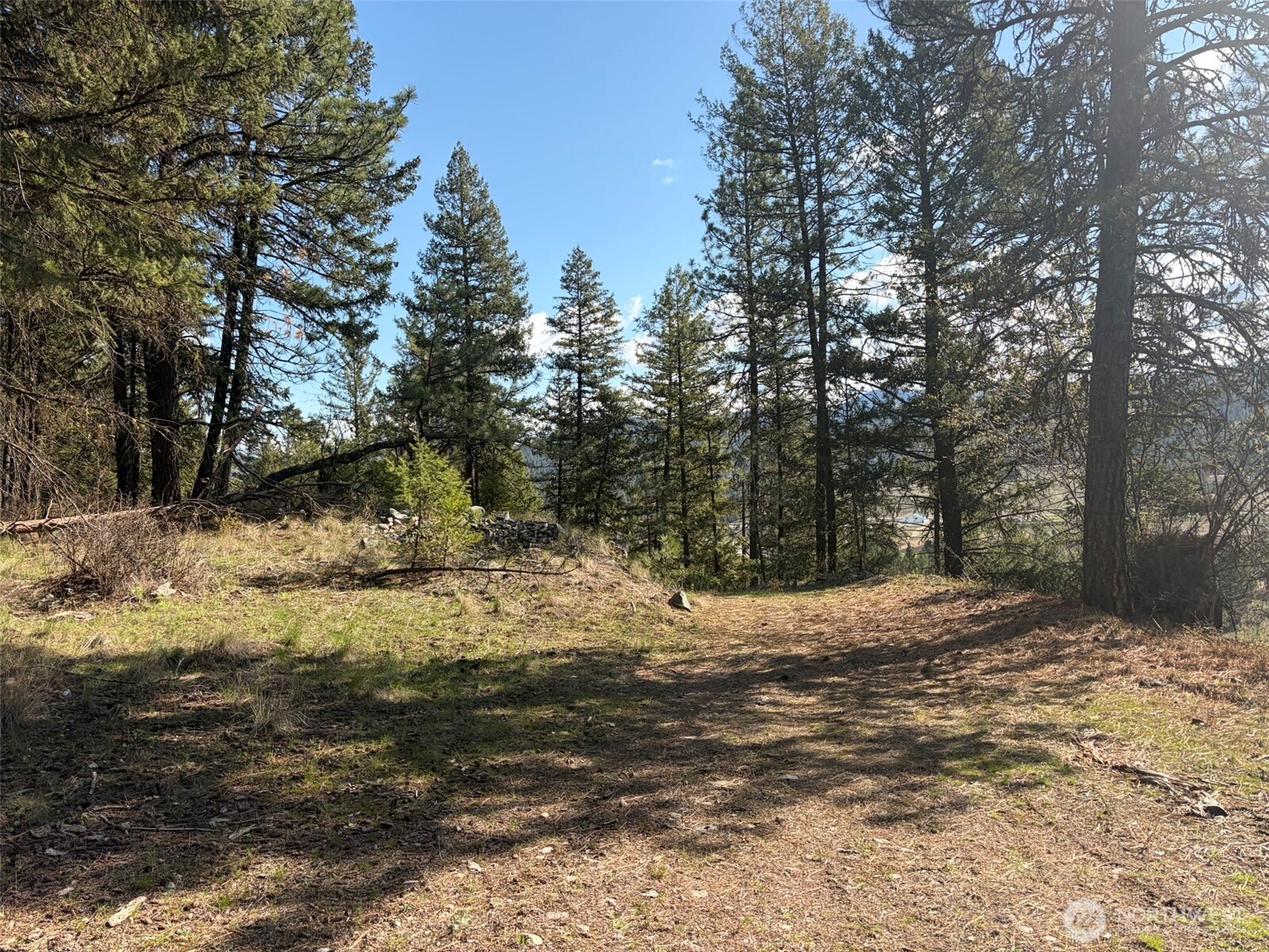 111 Tbd West Curlew Lake Road Property Photo 2