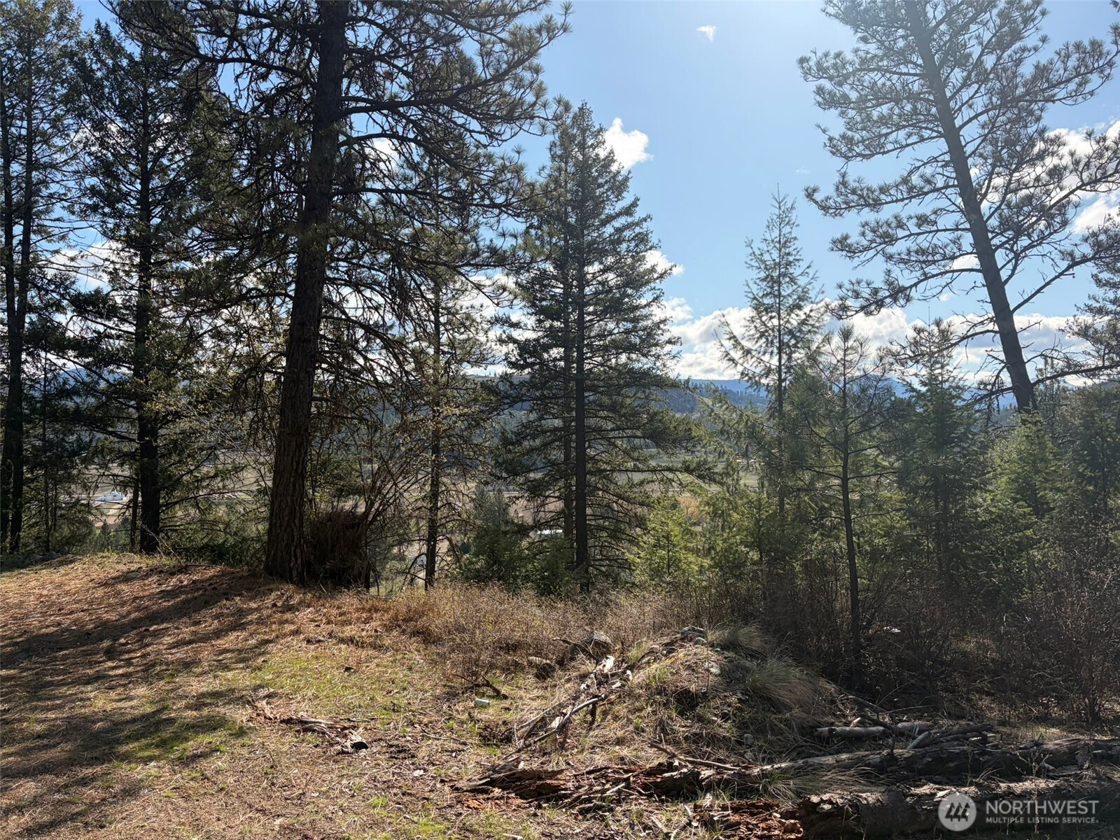 111 Tbd West Curlew Lake Road Property Photo 3