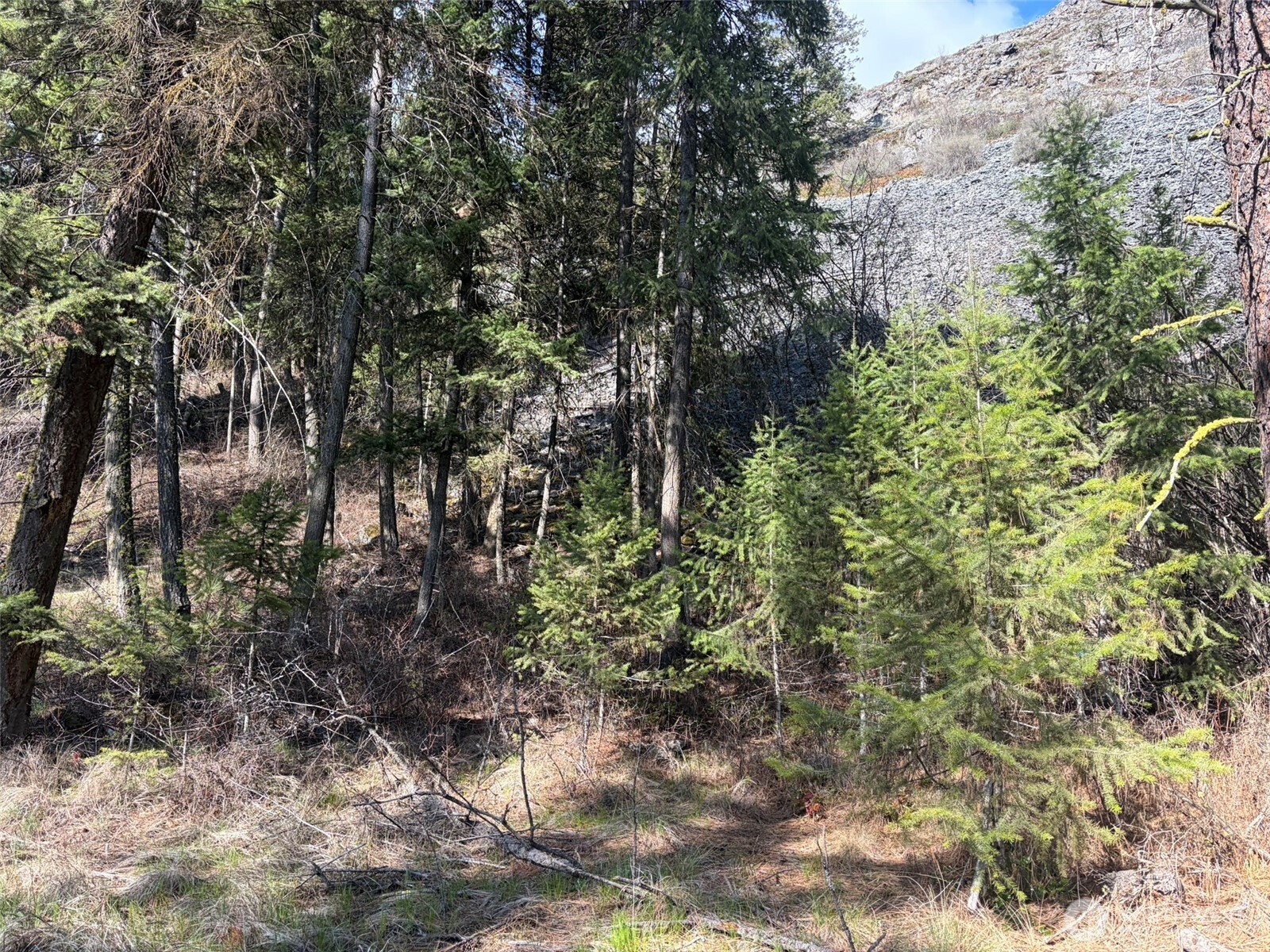 111 Tbd West Curlew Lake Road Property Photo 4