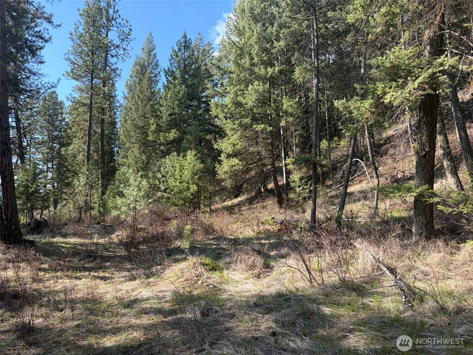 111 Tbd West Curlew Lake Road Property Photo 5