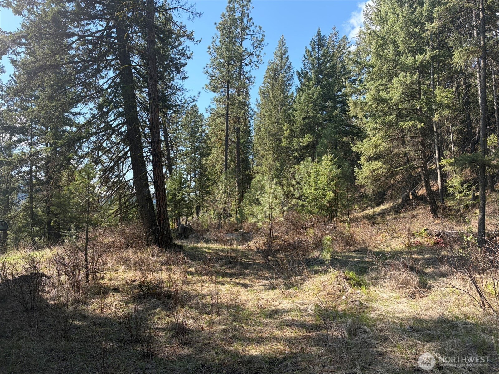 111 Tbd West Curlew Lake Road Property Photo 6