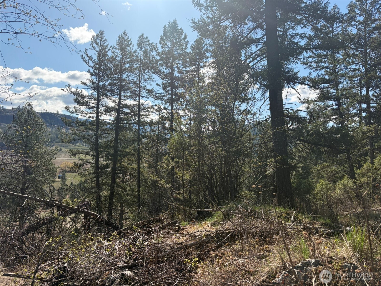 111 Tbd West Curlew Lake Road Property Photo 7