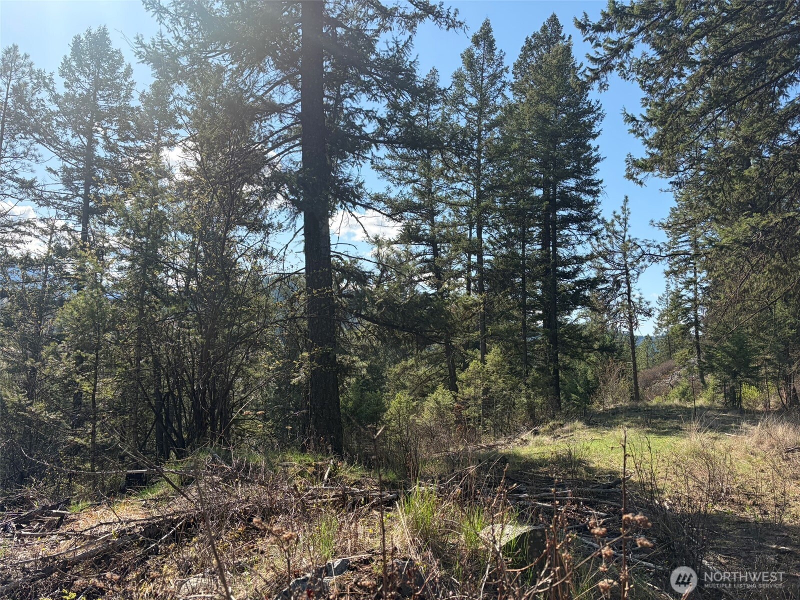 111 Tbd West Curlew Lake Road Property Photo 8