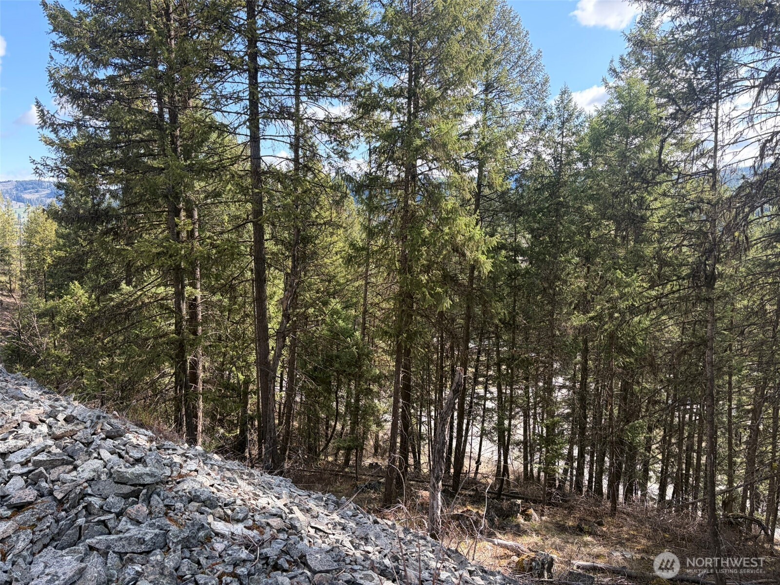 111 Tbd West Curlew Lake Road Property Photo 11