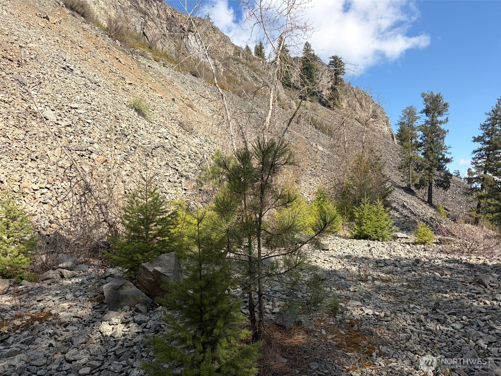 111 Tbd West Curlew Lake Road Property Photo 12