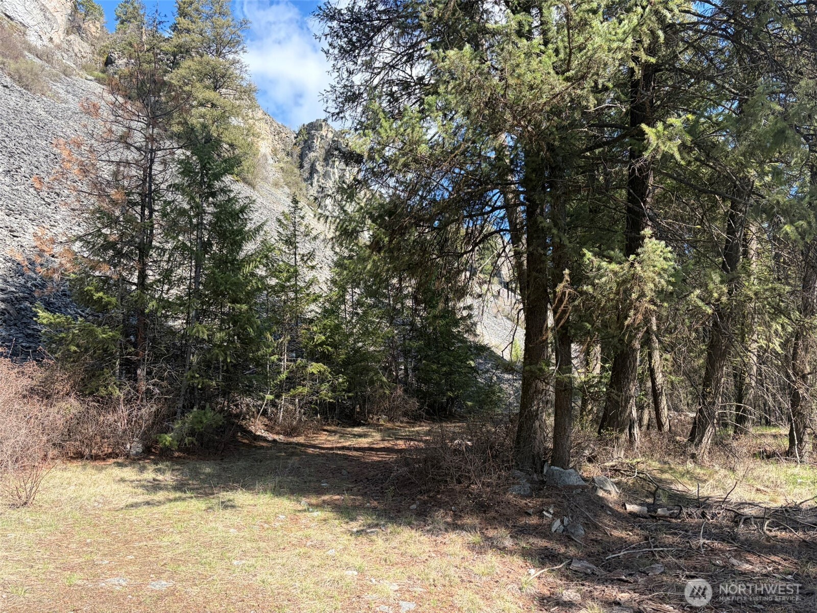 111 Tbd West Curlew Lake Road Property Photo 14