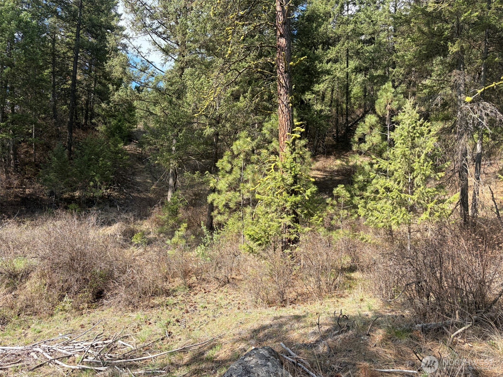 111 Tbd West Curlew Lake Road Property Photo 16