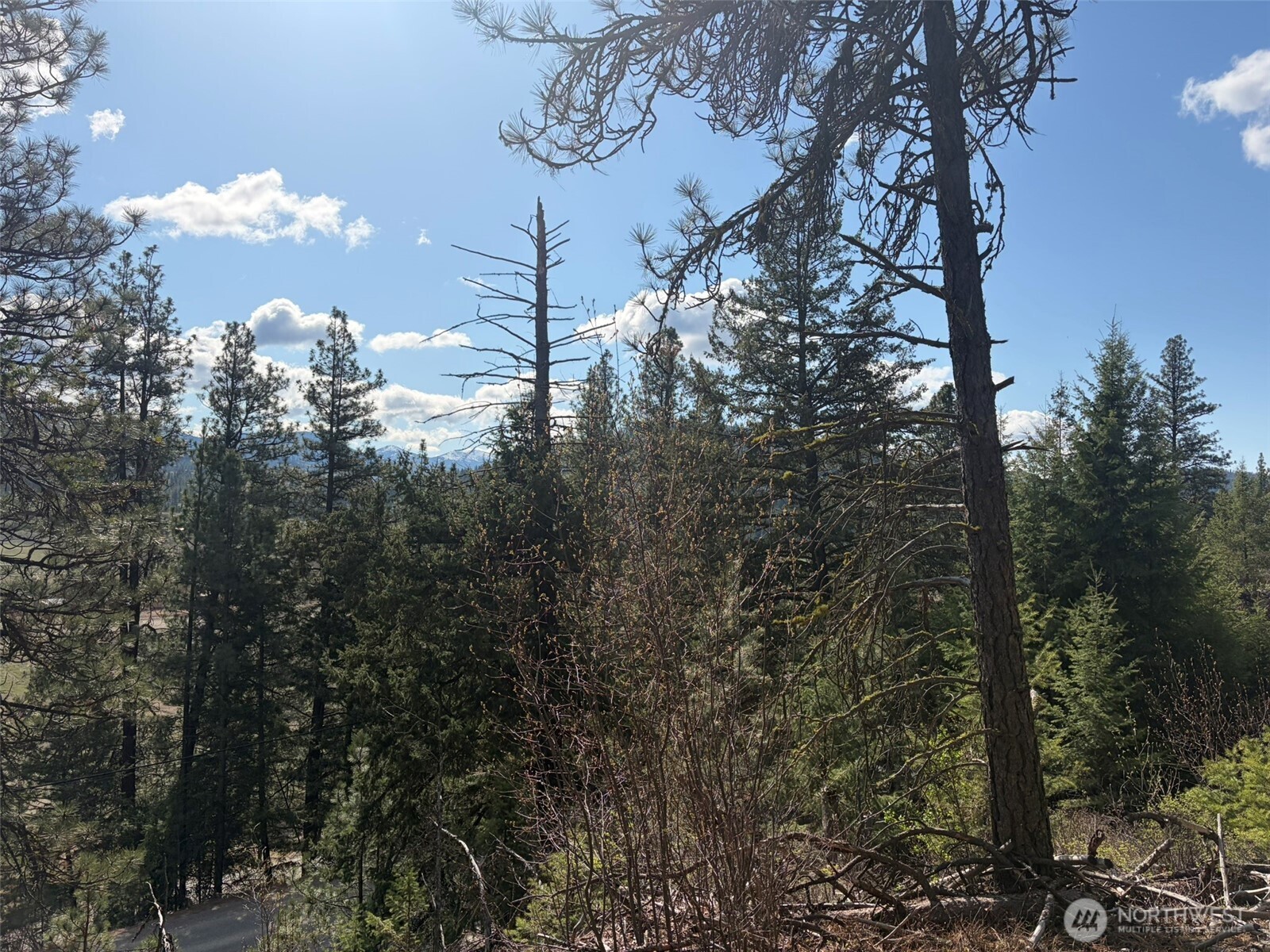 111 Tbd West Curlew Lake Road Property Photo 17