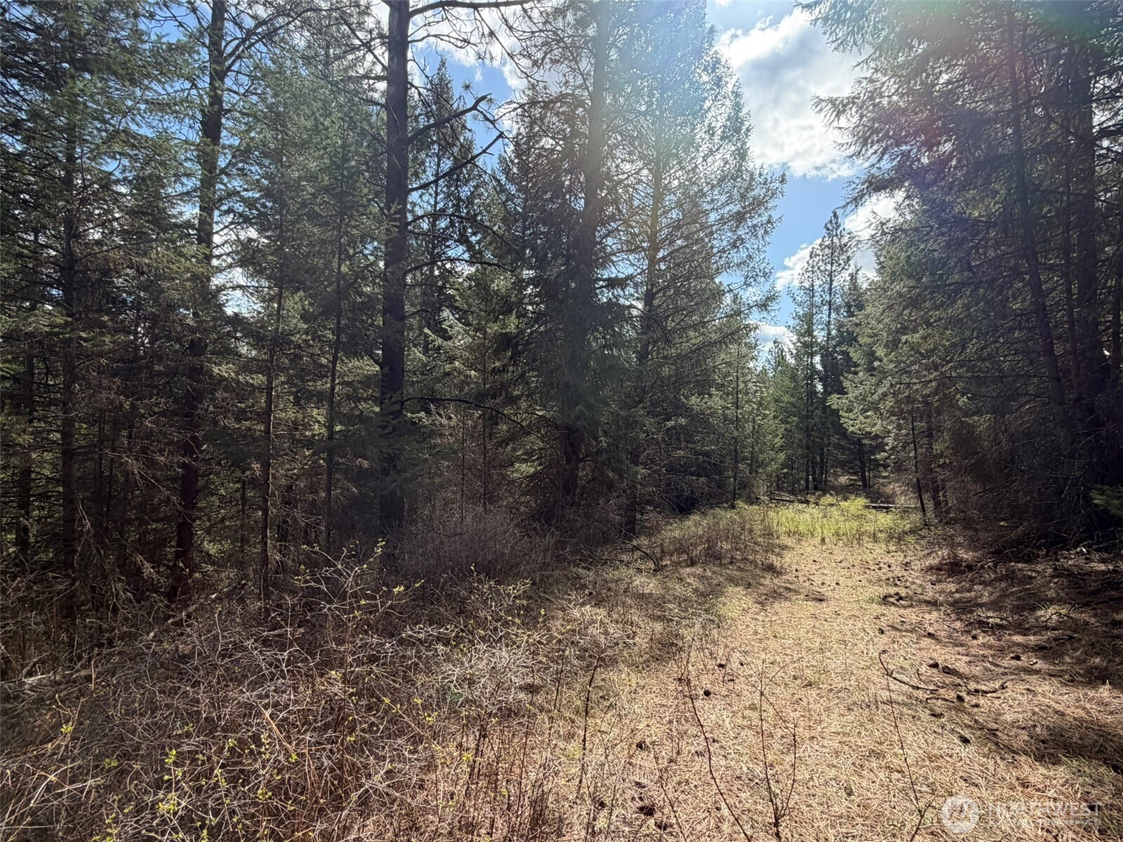 111 TBD W West Curlew Lake Road Property Photo 1