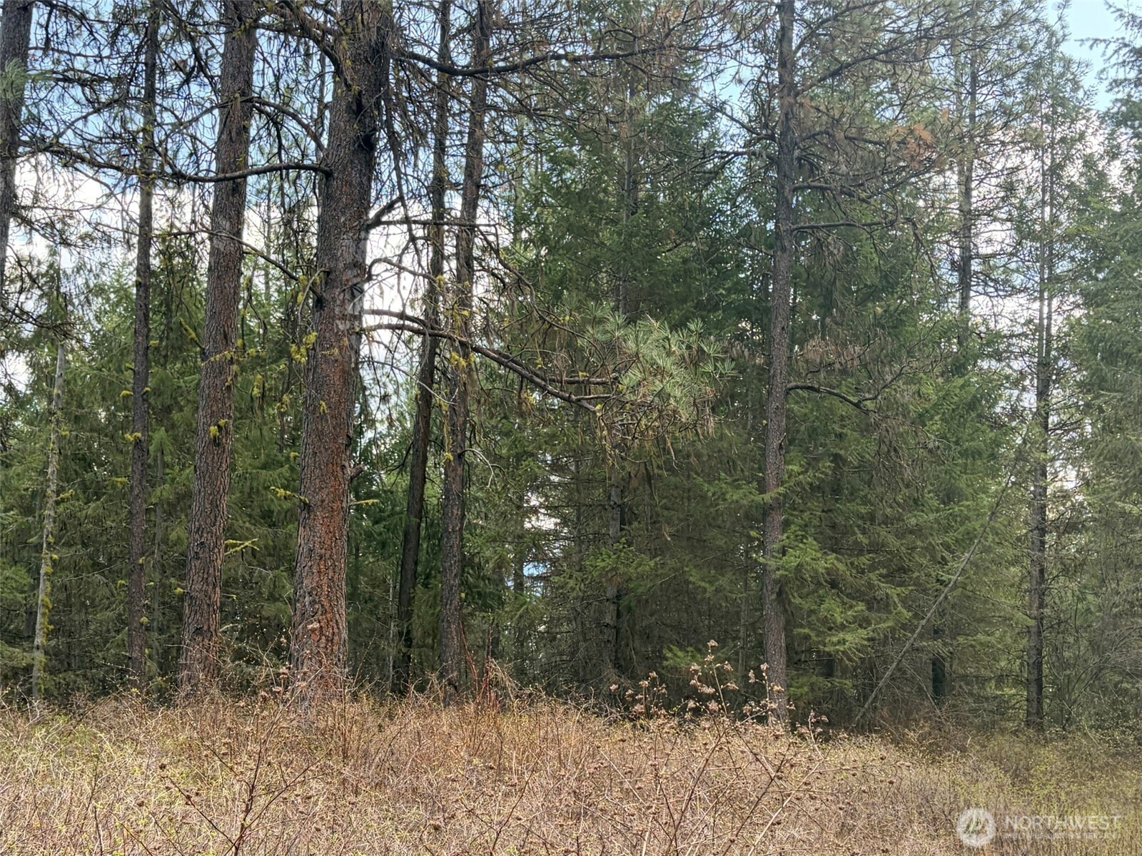 111 Tbd W West Curlew Lake Road Property Photo 2