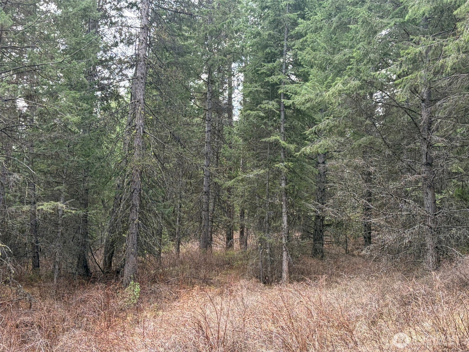 111 Tbd W West Curlew Lake Road Property Photo 3