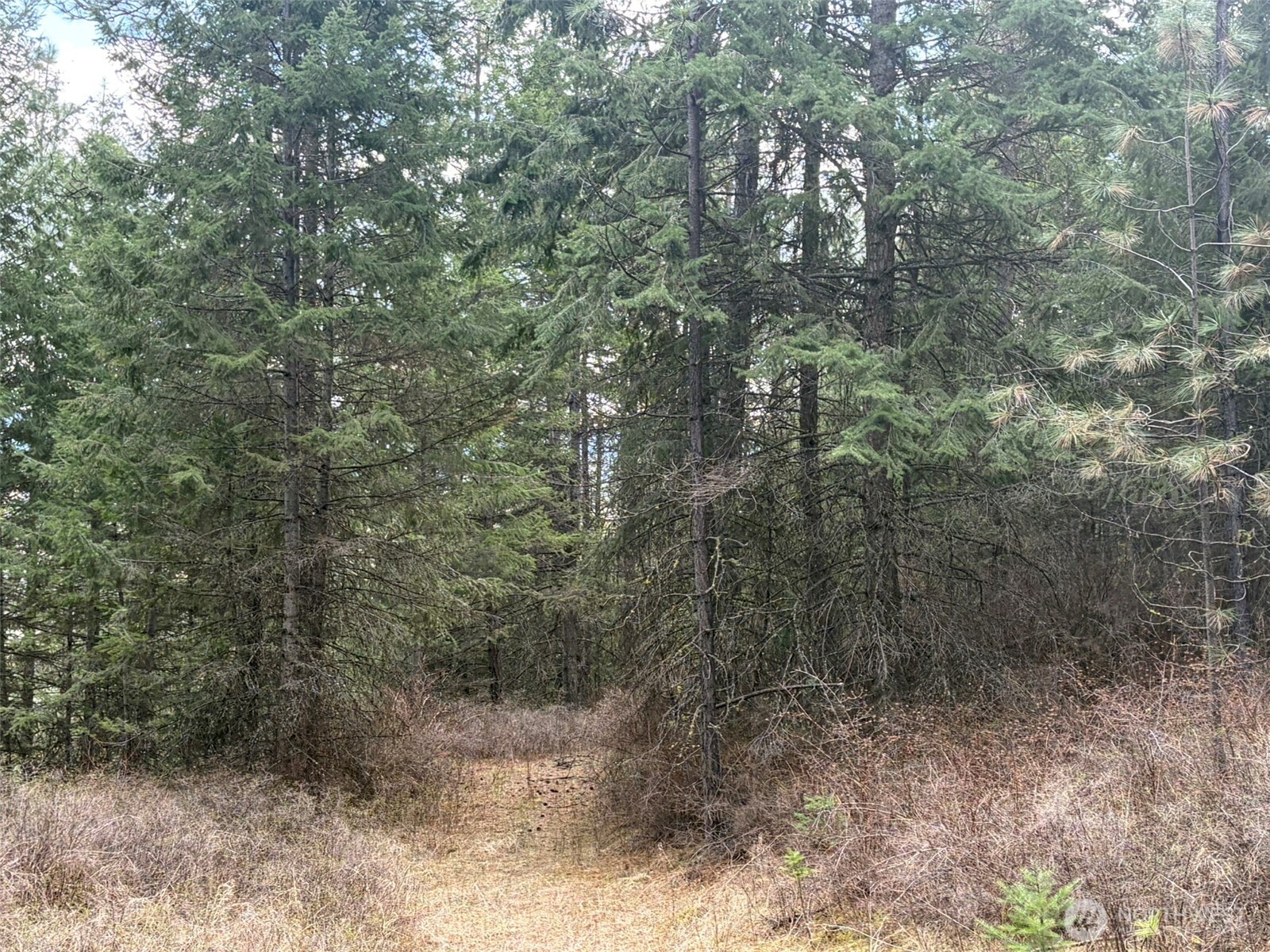 111 Tbd W West Curlew Lake Road Property Photo 4