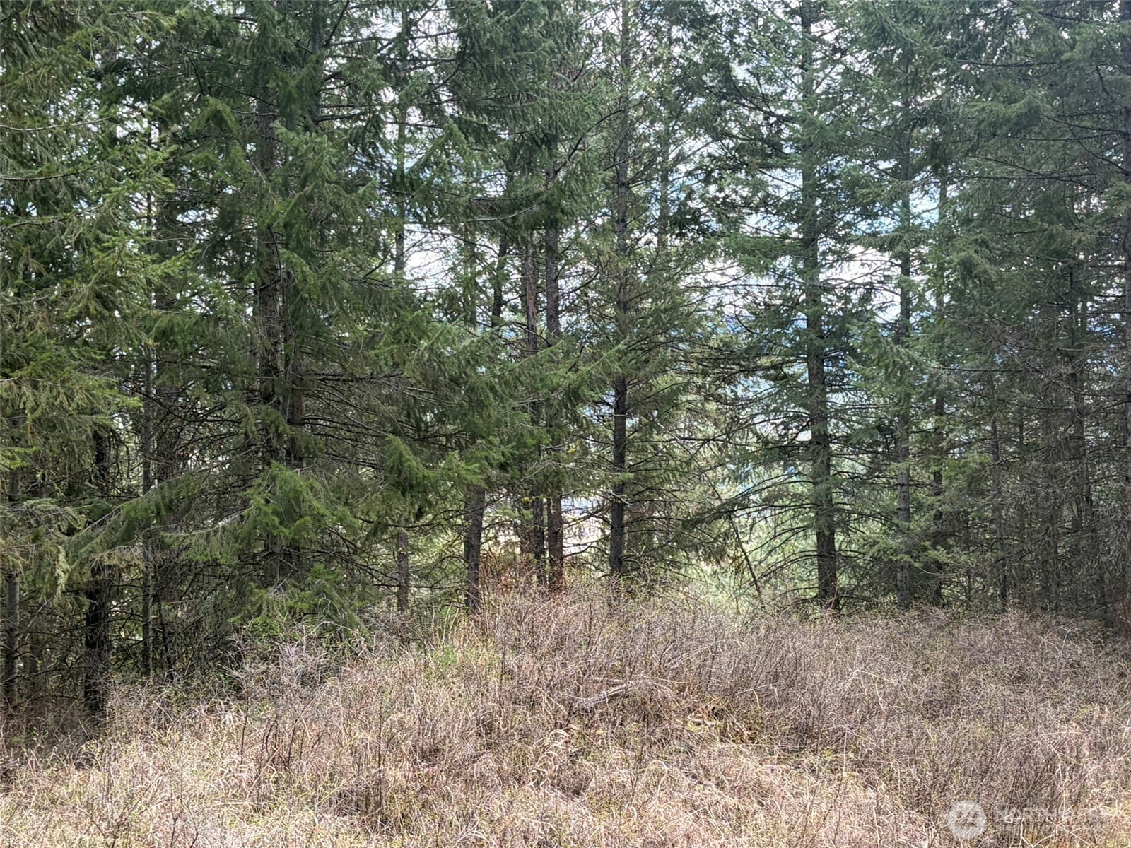 111 Tbd W West Curlew Lake Road Property Photo 6