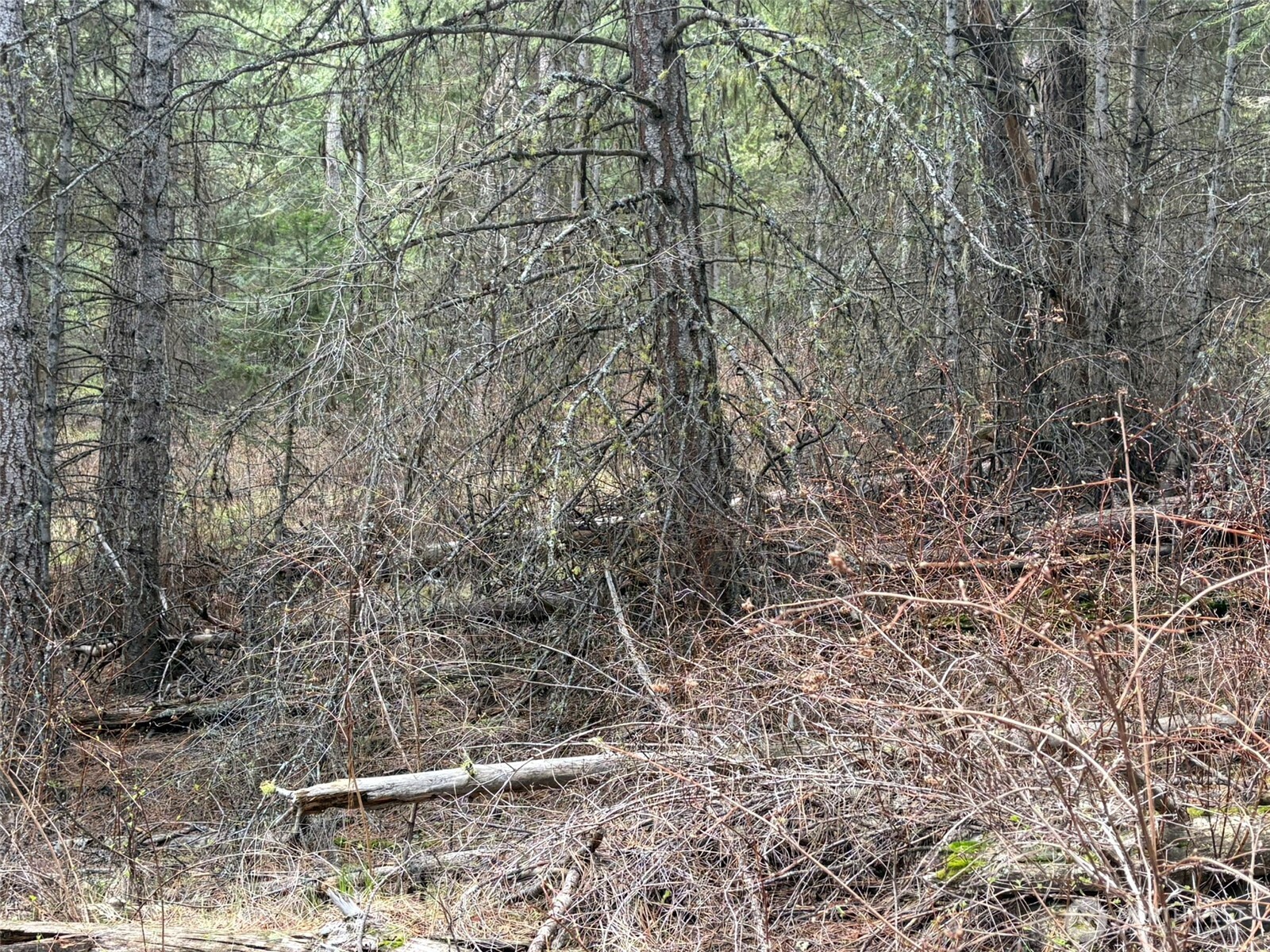 111 Tbd W West Curlew Lake Road Property Photo 7