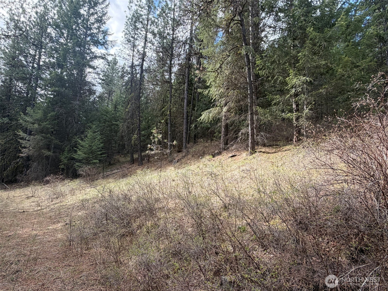 111 Tbd W West Curlew Lake Road Property Photo 9