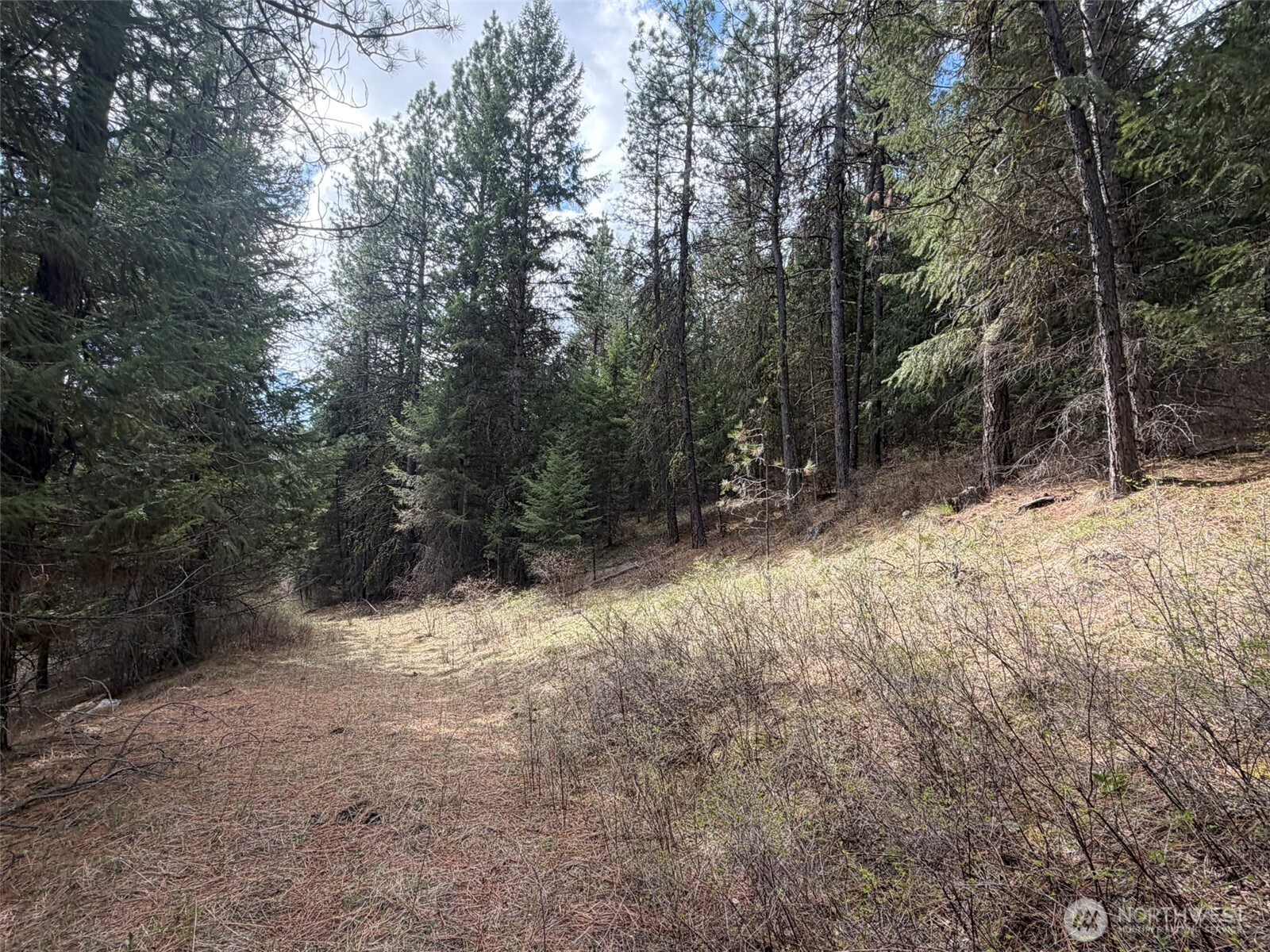 111 Tbd W West Curlew Lake Road Property Photo 10