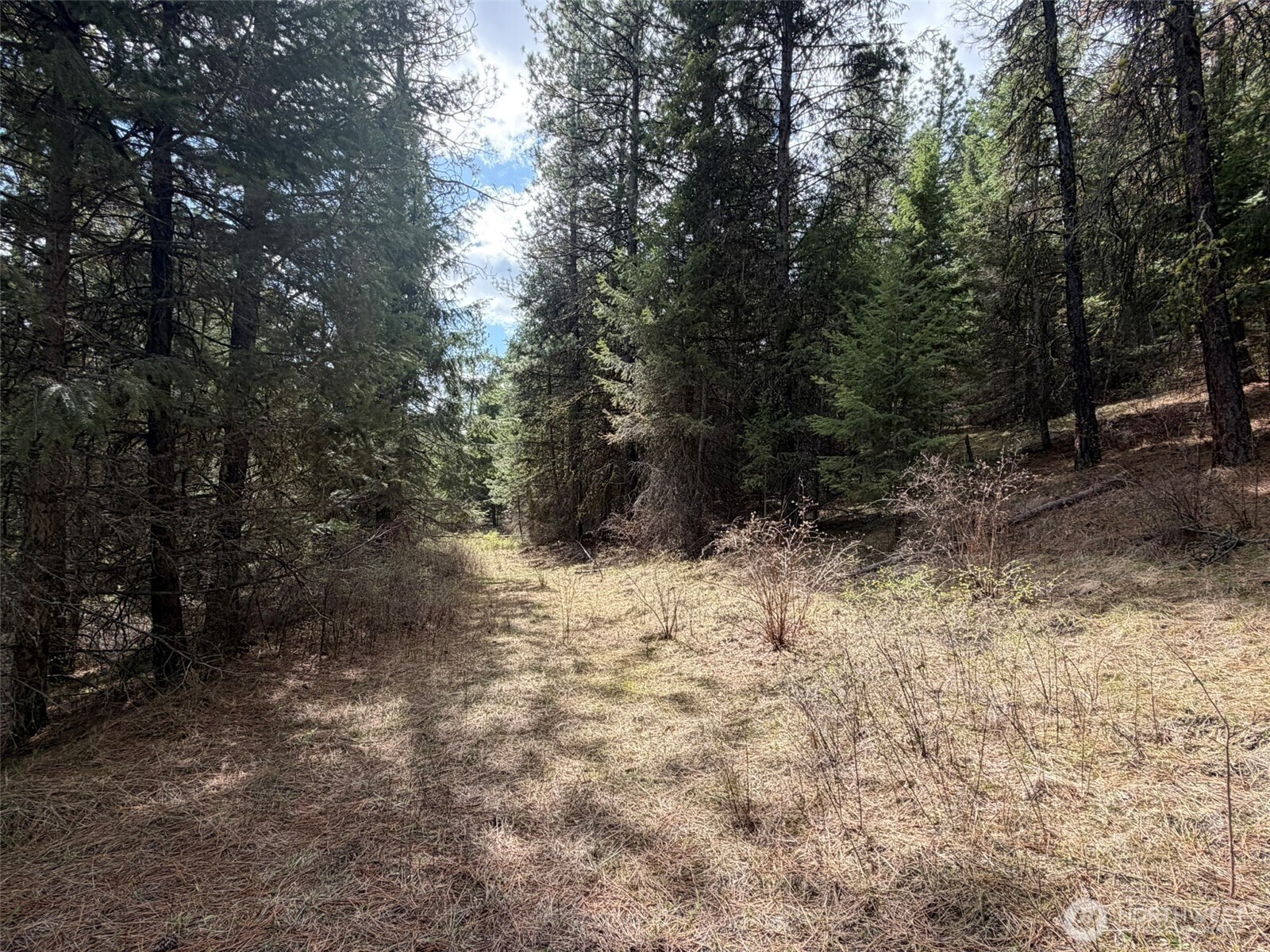 111 Tbd W West Curlew Lake Road Property Photo 11