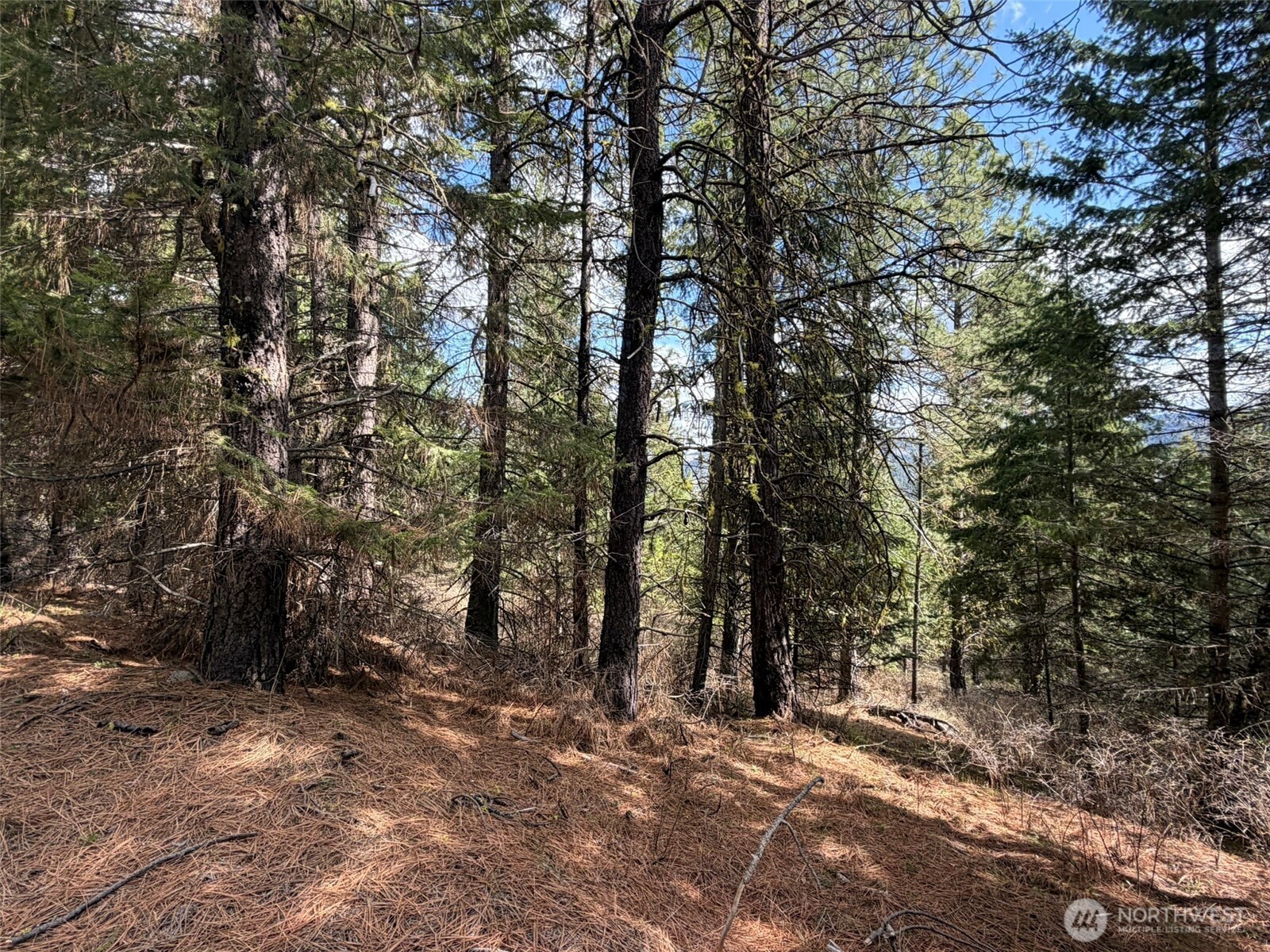 111 Tbd W West Curlew Lake Road Property Photo 12