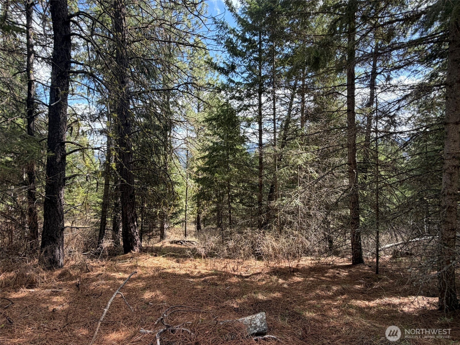 111 Tbd W West Curlew Lake Road Property Photo 13