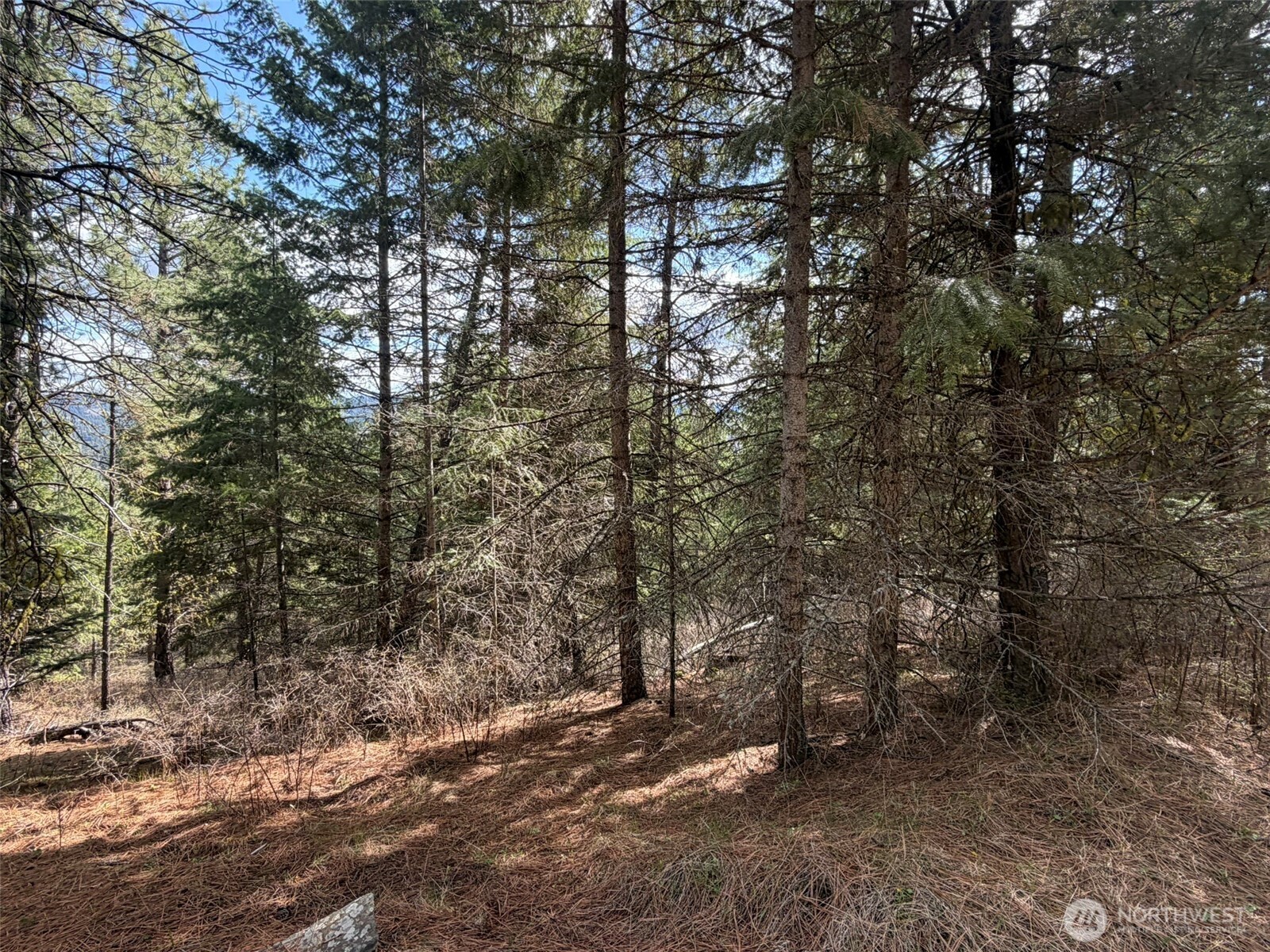 111 Tbd W West Curlew Lake Road Property Photo 14