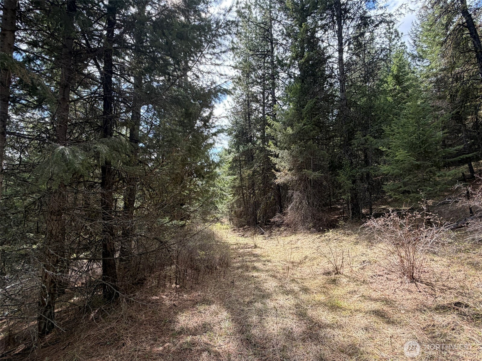 111 Tbd W West Curlew Lake Road Property Photo 15