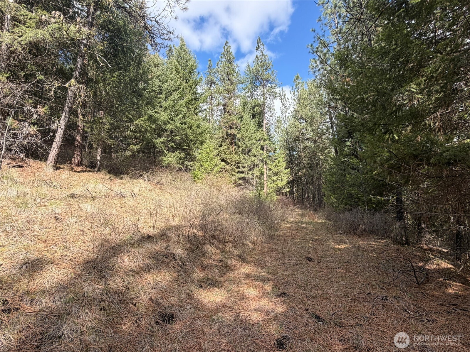 111 Tbd W West Curlew Lake Road Property Photo 16
