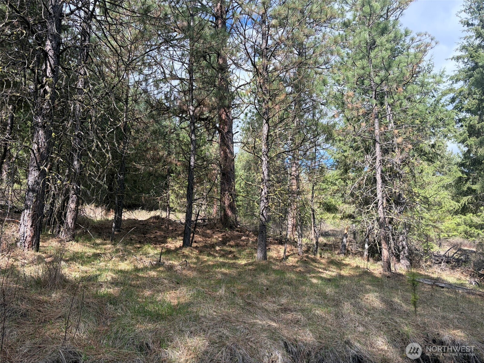 111 TBD E West Curlew Lake Road Property Photo 1