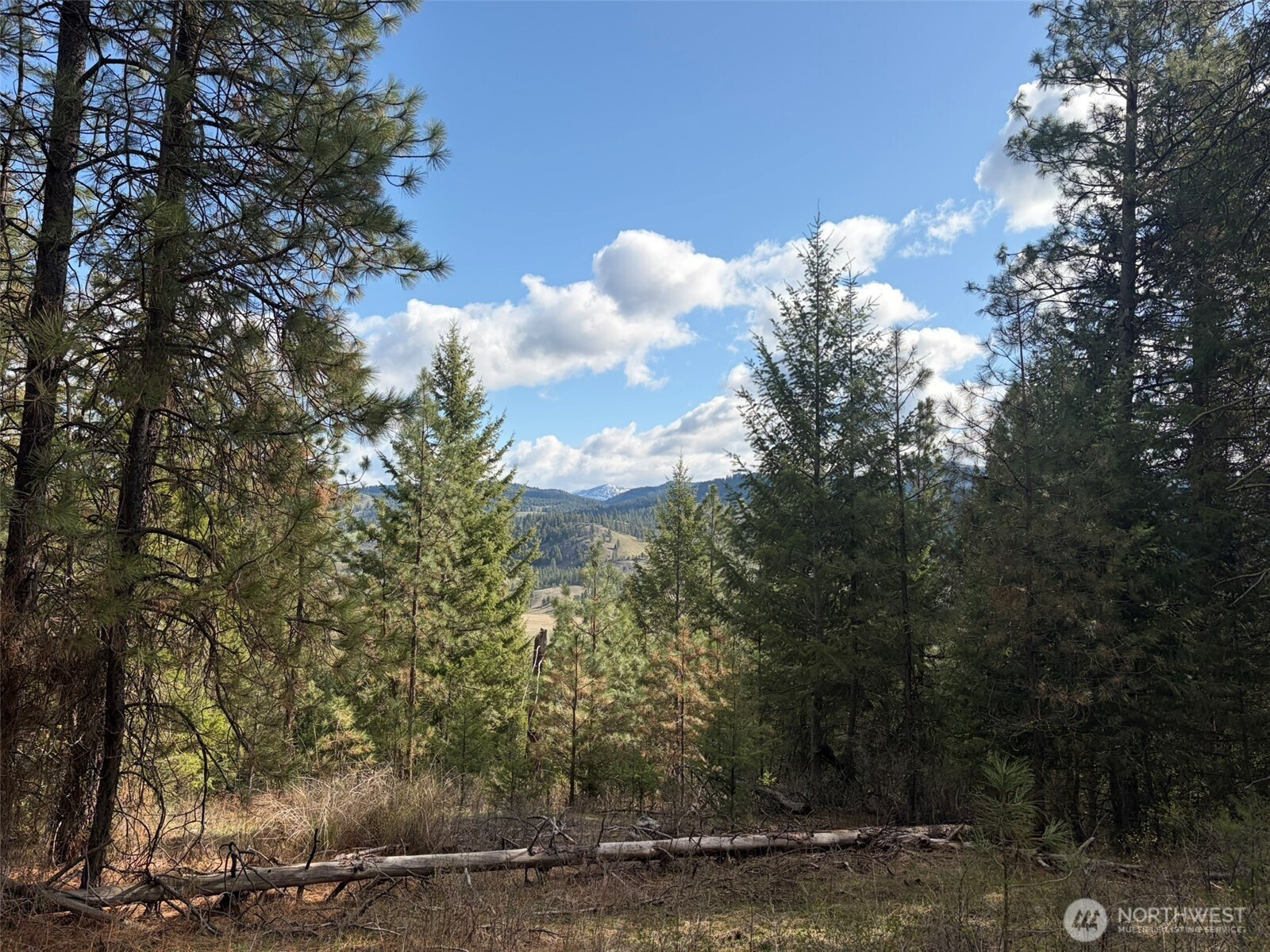 111 Tbd E West Curlew Lake Road Property Photo 2