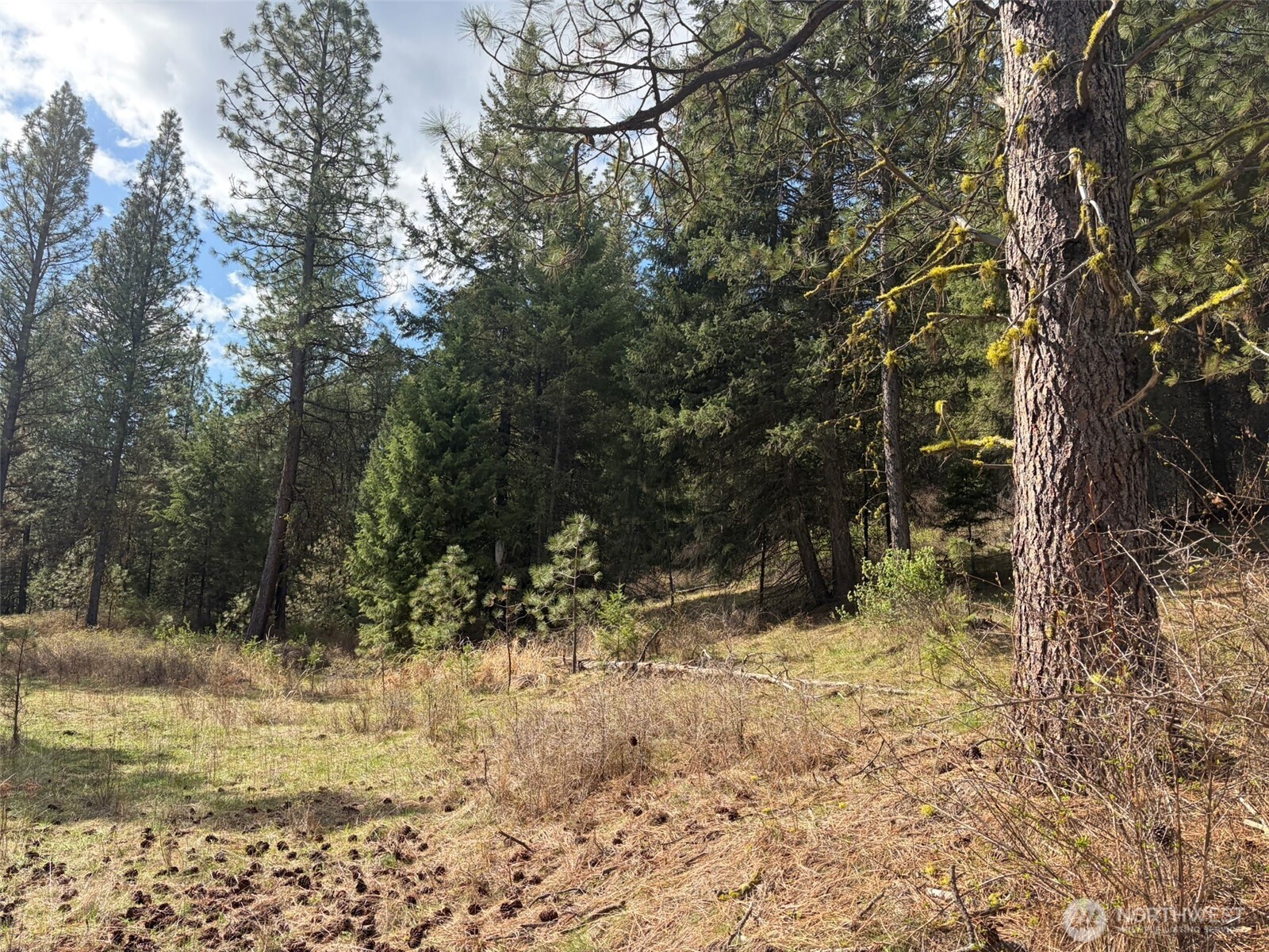111 Tbd E West Curlew Lake Road Property Photo 5