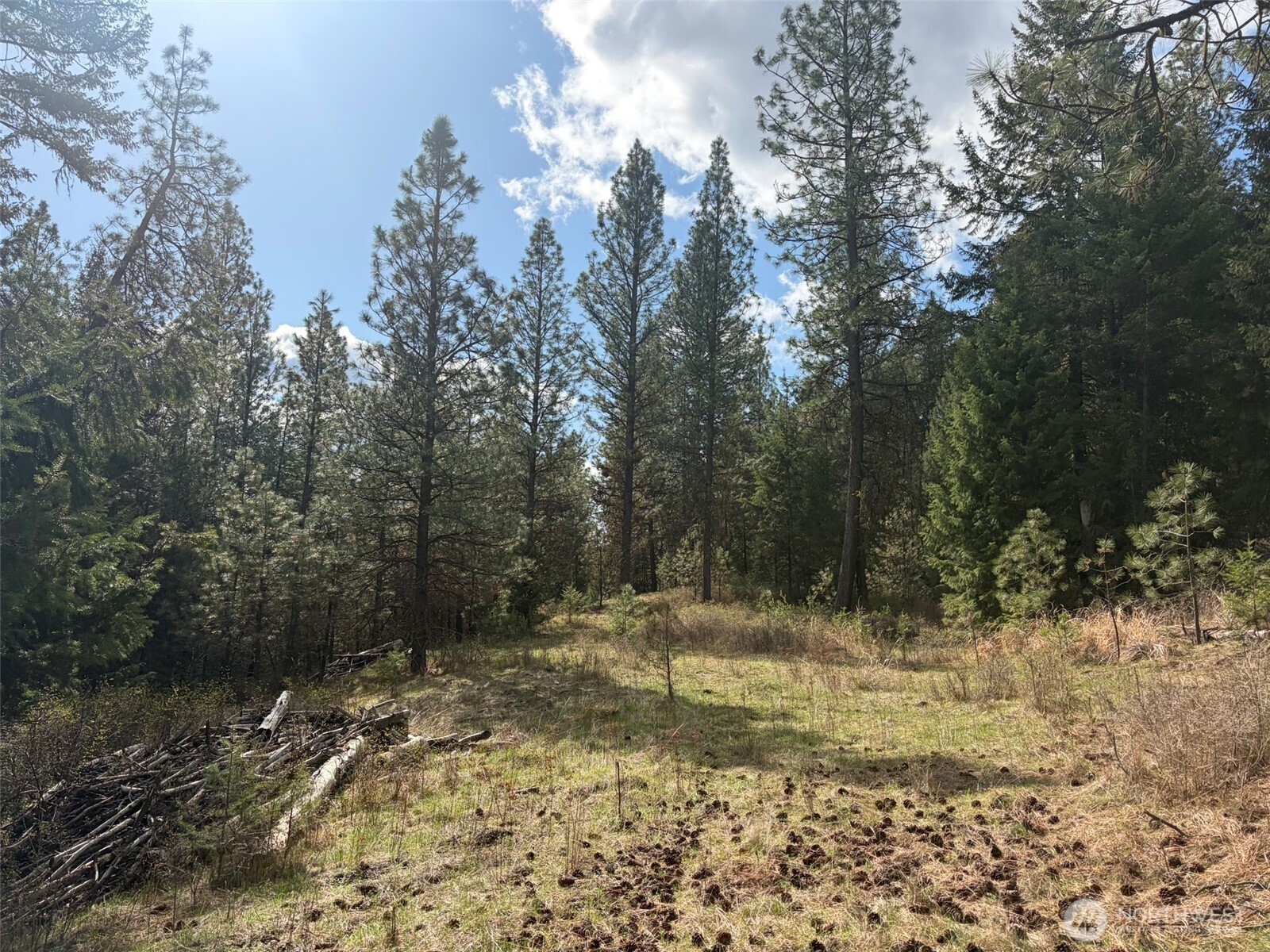 111 Tbd E West Curlew Lake Road Property Photo 6