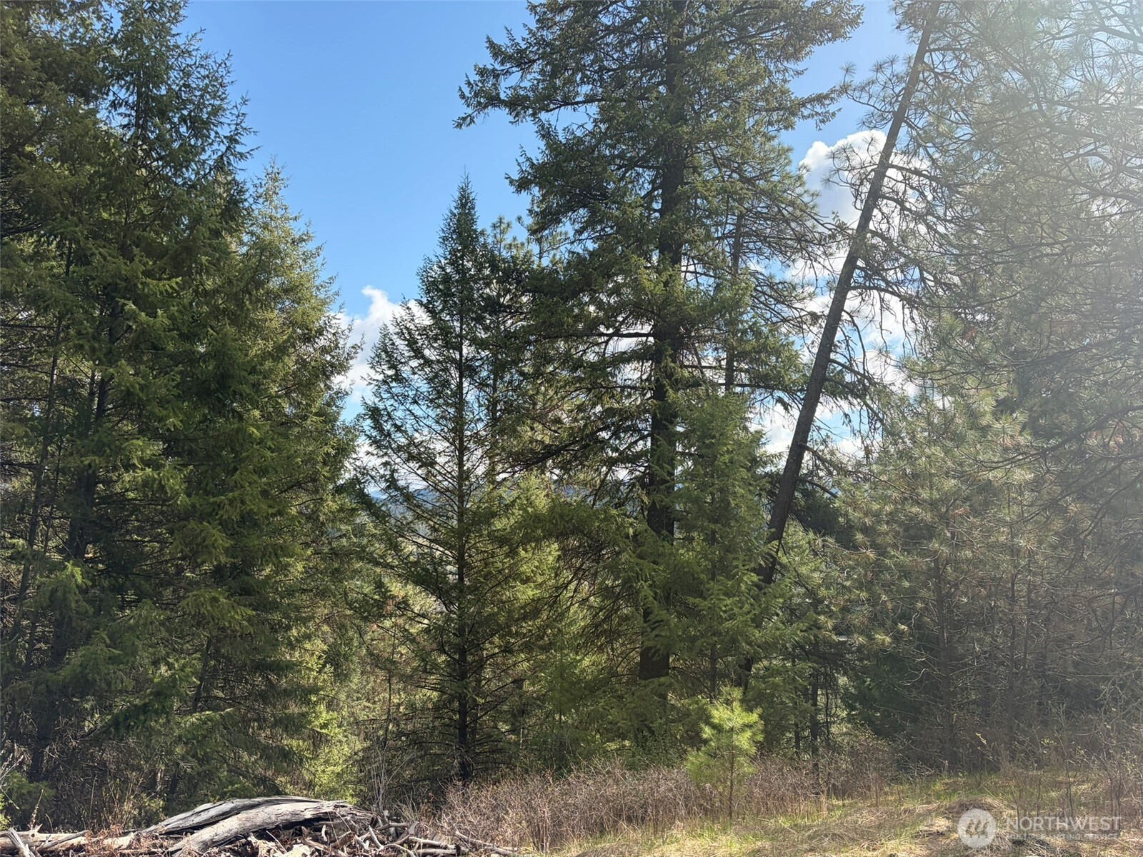 111 Tbd E West Curlew Lake Road Property Photo 7