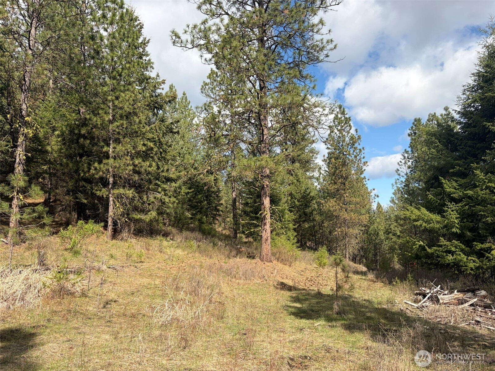 111 Tbd E West Curlew Lake Road Property Photo 8