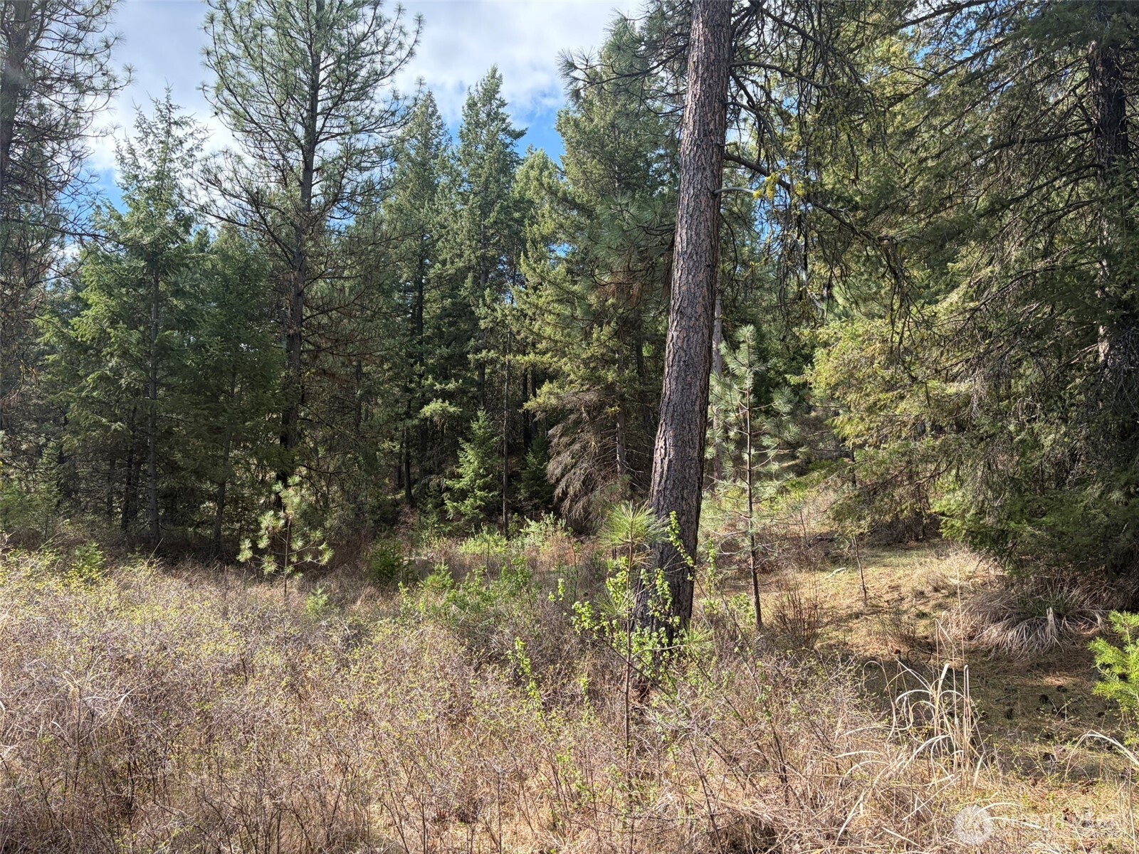 111 Tbd E West Curlew Lake Road Property Photo 9