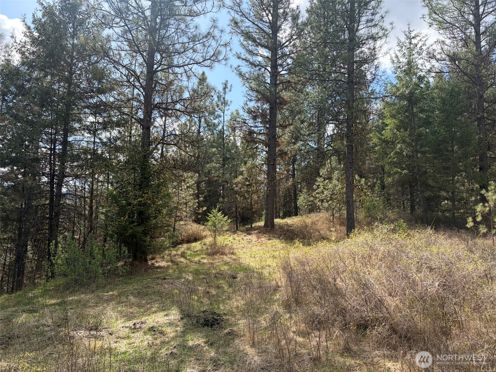 111 Tbd E West Curlew Lake Road Property Photo 10
