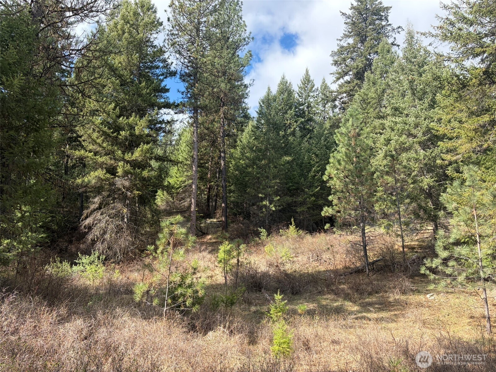 111 Tbd E West Curlew Lake Road Property Photo 11