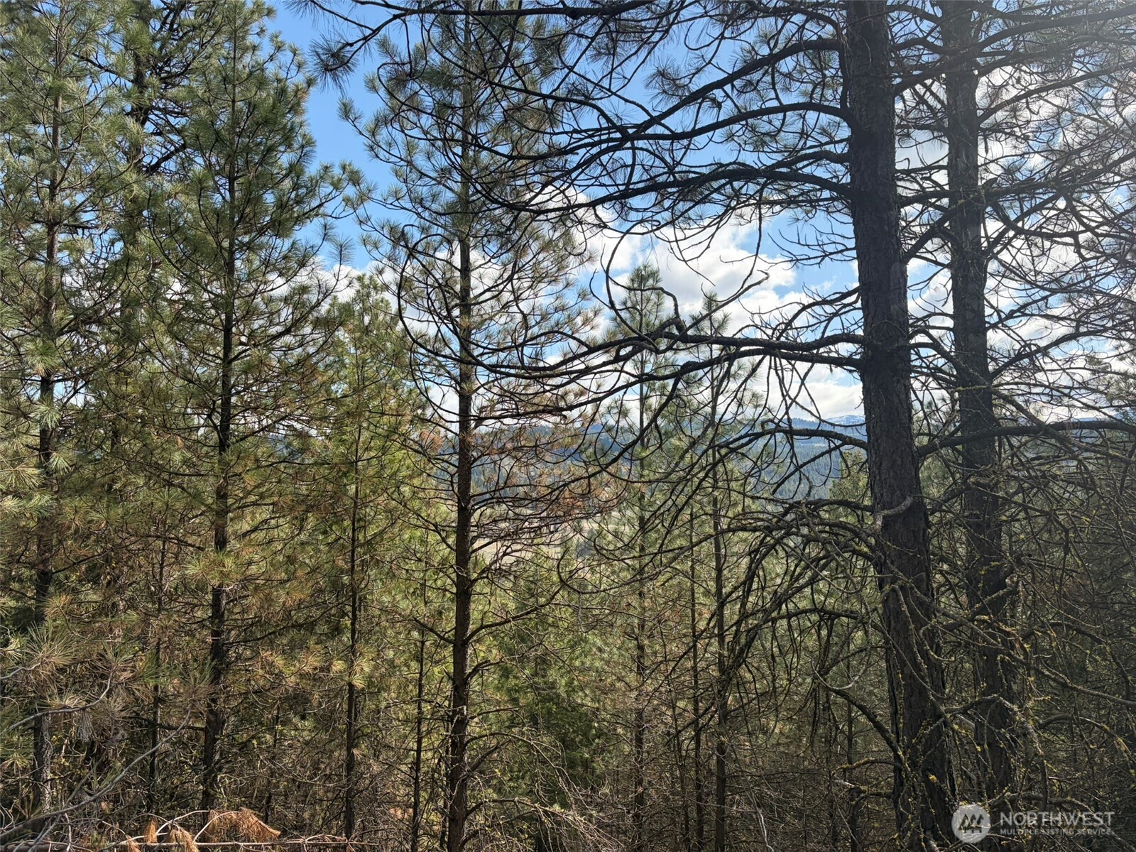 111 Tbd E West Curlew Lake Road Property Photo 12