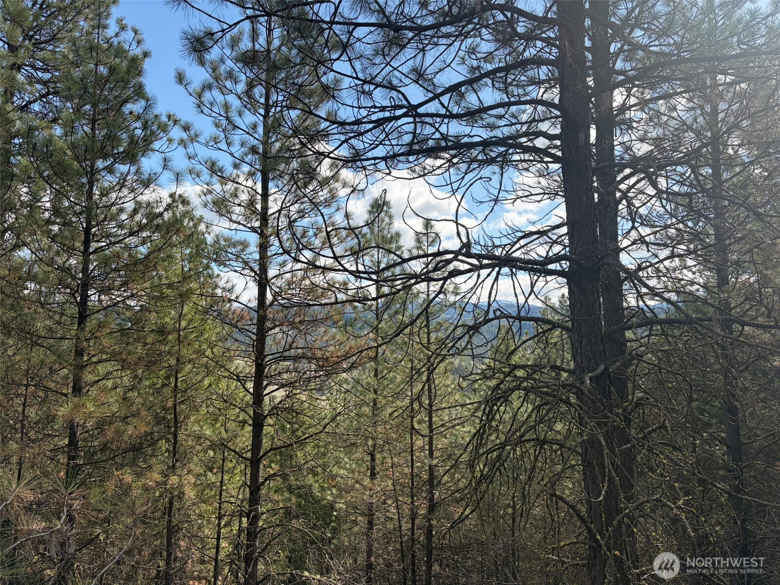 111 Tbd E West Curlew Lake Road Property Photo 13